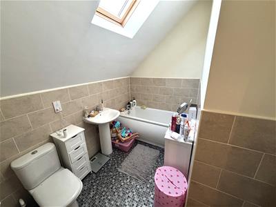 Picture 14